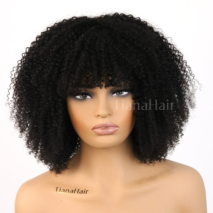 Perruque courte bouclée sans colle avec frange, coupe shaggy Wolf, à jeter et à emporter