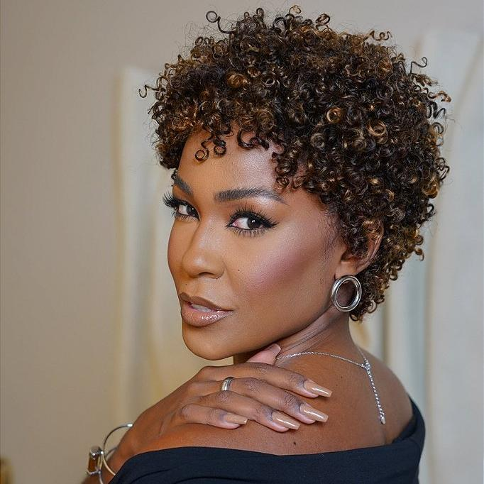 P2/27 Light Blonde Highlights Afro Curls Short Curly Glueless Wig