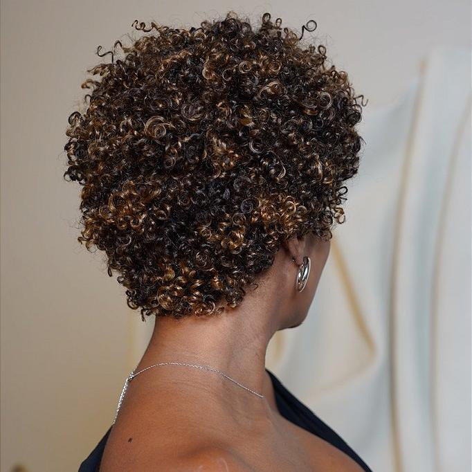 P2/27 Light Blonde Highlights Afro Curls Short Curly Glueless Wig