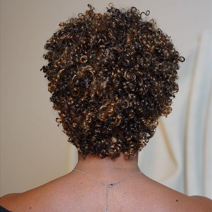 P2/27 Light Blonde Highlights Afro Curls Short Curly Glueless Wig