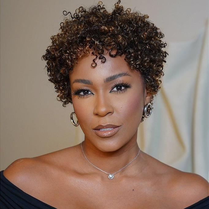 P2/27 Light Blonde Highlights Afro Curls Short Curly Glueless Wig