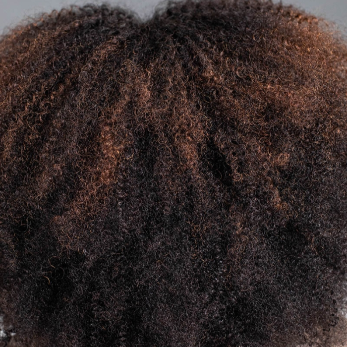 Caramel Highlights Afro Curly Glueless Short Curly Wig with Bangs TianaHair