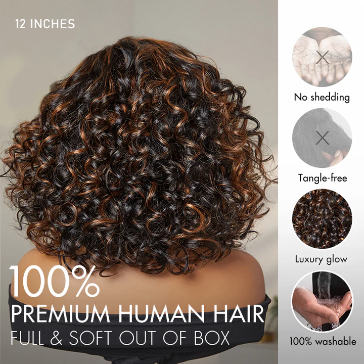 Effortless Elegance Brown Highlight Bouncy Curly Wig 6x4 Lace Glueless Wig Pre-Cut Lace TianaHair