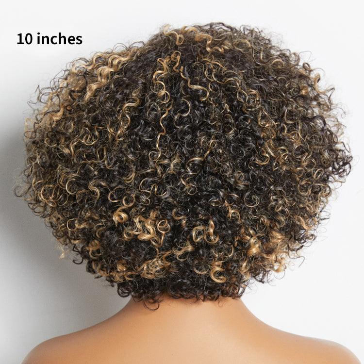 Honey Blonde Highlight 6X4 Lace Wear And Go Glueless Classic Short Wig TianaHair